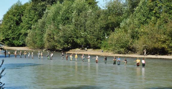 Is The Puyallup River Open For Fishing Today - Unique Fish ...